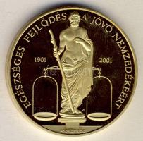 2001. Richter Gedeon centenárium "Egészséges fejlődés a jövő nemzedékéért" aranyozott ffém emlékérem T:PP