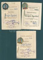 1962-1968. "Kézműipari Törzsgárdajelvény 3-5-10" mindhárom igazolvánnyal T:2
