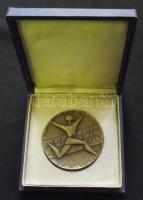 1965. "FISU Világversenyei-Universiade 1965 Budapest" Br sport emlékérem eredeti díszdobozban szign.:Vincze Dénes T:2