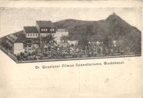 Budakeszi Dr. Gosztonyi Vilmos szanatóriuma (kis szakadás / small tear)