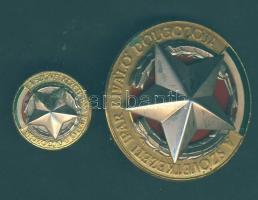 cca 1950. "A Szövetkezeti Ipar Kiváló Dolgozója" kitüntetés miniatűrrel T:2(miniatűr sérült)