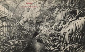 Gödöllő Pálmaház