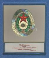 1973. A Magyar Néphadsereg fennállásának 20. évfordulójára adományozott névre szóló emlékplakett eredeti dísztokban! T:2