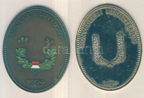 DN. Honvédelmi Minisztérium fém és Magyar Honvédség Br ovális emlékplakettek (d=50x65mm) T:2,2-
