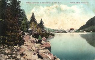 Tátra Halastó (fl)