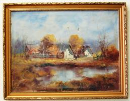 Olvashatatlan jelzéssel: Tanyasi táj, olaj-vászon,  3 javított szakadással, szép keretben, 60x80 cm