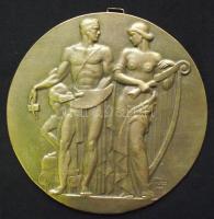 1934. Berán Lajos nagyalakú Br plakett másolat (d=21cm) T:2