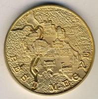 DN. Pest Megye Önkormányzata aranyozott vastag (piefort) ffém emlékérem (d=65mm) T:PP