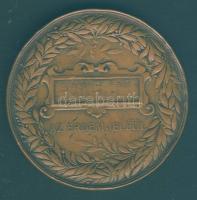 1885. Schwartz: Országos Általános Kiállítás Budapest Br emlékérem (d=65mm) T:3