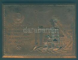 1933. "A Magyar Királyi Állami Vas-acél és Gépgyárak diósgyőri nagyolvasztójának újraindítása" bronz emlékplakett (d=74x103mm) T:2