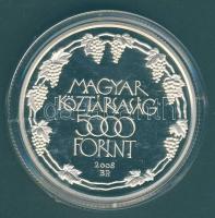 2008. 5000Ft "Tokaji Történelmi Borvidék" Ag T:PP