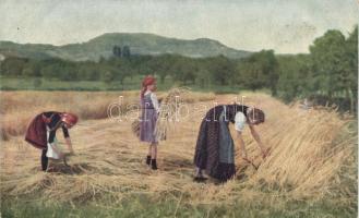 Austrian peasant folklore, harvest