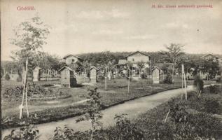 Gödöllő állami méhészet