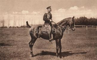 Military WWI cavalryman