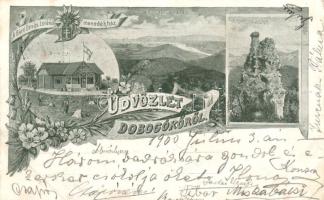 Dobogókő, Báró Eötvös Loránd menedékház, floral (EK)