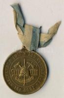 1892. "A Szt.-Gotthárdi Önk. Tűzoltó Egylet Fennállásának Huszadik Évfordulói Ünnepélyének Emlékül" emlékmedál szalaggal T:2