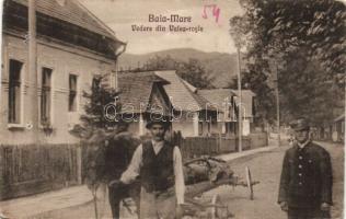 Nagybánya Rosievölgy (b)