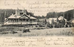 Borszékfürdő Villa Irene and Emausz