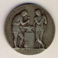 1928. "Congressus V. Internat. Med.Pro.Artificibus Calamitate Afflictis Aegrotisque Budapest 1928." szign.:Reményi T:2