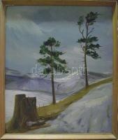 Jelzés nélkül: Téli táj, olaj-farost, keretben 55x65 cm