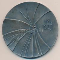 1968. "Országos Nyári Gyümölcs és Zöldség Kiállítás Nagykőrös II. Díj" fém emlékplakett T:...