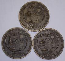 DN Szabolcs Szatmár Megyei Idegenforgalmi Hivatal Csaroda-Túristvándi-Vaja 3db Br emlékérem (d=40mm) szign: T.S. T:1