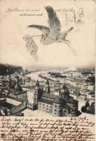 Salzburg, stork (fl)