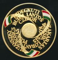 2003. "Magyarország-Anglia 6:3" aranyozott Ag emlékérem 31,104g/1oz T:PP Csak 3000db! R! Díszdobozban, tanúsítvánnyal!