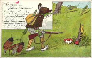 1898 Frog hunter, bugs litho