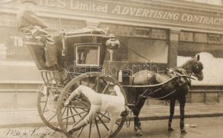 Carriage acrobat photo