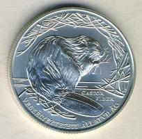 2000. 3000Ft Ag "Veszélyeztetett állatvilág-hód" T:BU Csak 3000db!