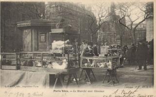 Paris bird market