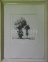 Arató Gyula: Határ fák, rézkarc-papír, jelzett, keretben 32x45 cm