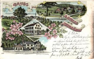 Aathal - Seegräben with Restaurant z. Schwanen litho