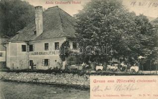 Mürzsteg Hotel Alois Grabner (EK)