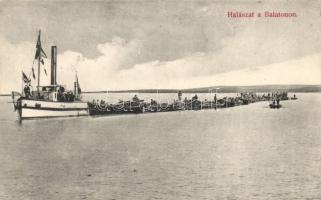 Balaton halászat, Divald