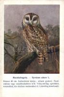 Macskabagoly 'A Magyar Földrajzi Intézet Rt. kiadása, Székesfővárosi Állatkert sorozat' / tawny owl s: Vezényi