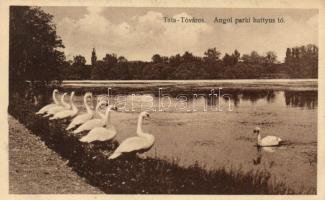 Tata-Tóváros angolpark hattyús tó