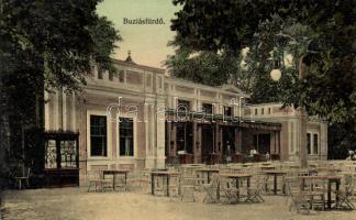 Buziásfürdő restaurant