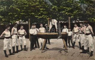 Temesvár school, pommel horse exercise