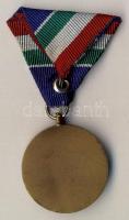 1954. "Árvízvédelemért Érem" patinázott Br érem mellszalaggal T:2