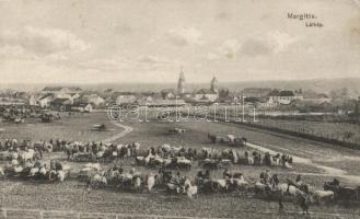 Margitta animal market