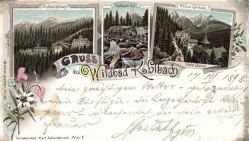 1898 Tátra Hidegpatak (Kohlbach) litho (EK)