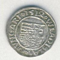 II. Ulászló 1512. Dénár Ag (ÉH.646c) T:1-