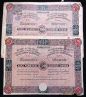 1929. "Részvénytársaság Villamos és Közlekedési Vállalatok számára" részvénye 100P-ről (2x) magyar és német nyelven, szelvényekkel