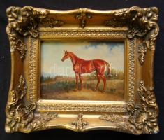 R.T. jelzéssel: Ló, olaj-farost, jelzett, keretben 24x29cm