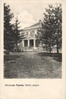 Kövecsespuszta castle (cut)