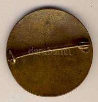 I.Világháborús zománcozott jelvény T:sérült, hiányos /
First World War enamelled badge C:faulty