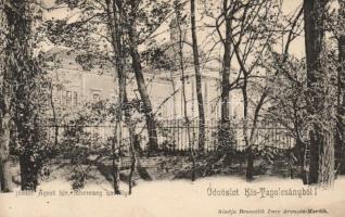 Kistapolcsány castle