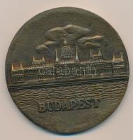 1965. Budapest-"13e Session du Comité Administratif De L´U.I.S." Br emlékplakett (d=68mm) T:2